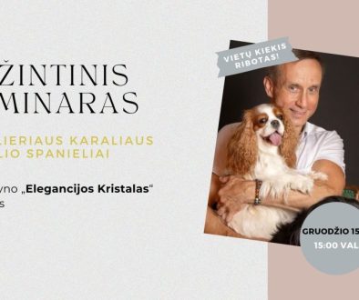 Pazintinis Seminaras Su Karaliaus Kavalieriaus Karolio Spanieliais