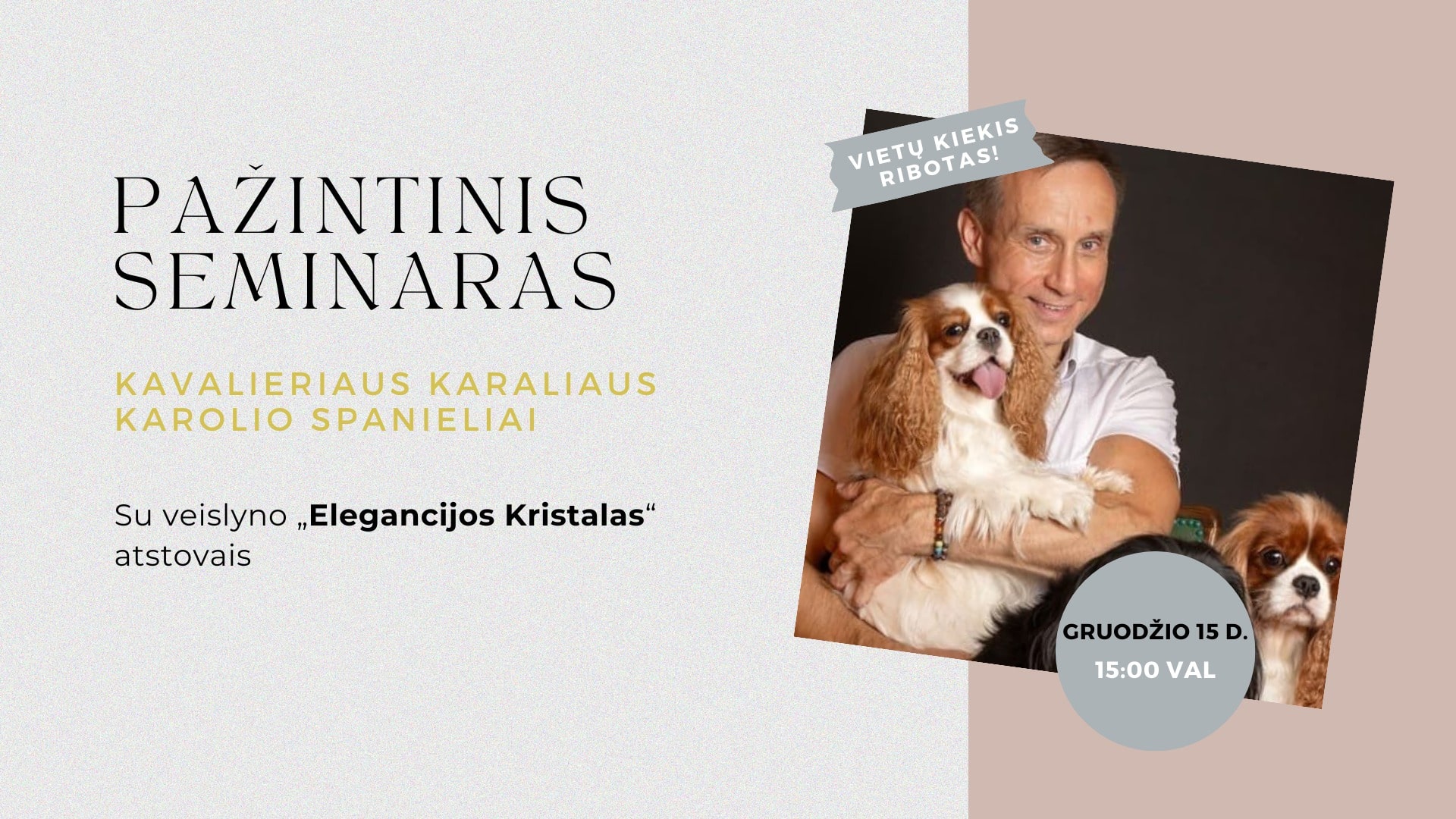 Pazintinis Seminaras Su Karaliaus Kavalieriaus Karolio Spanieliais