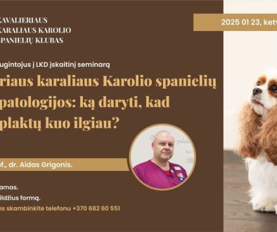 Lkd Iskaitinis Seminaras Kavalieriaus Karaliaus Karolio Spanieliu Sirdies Patologijos