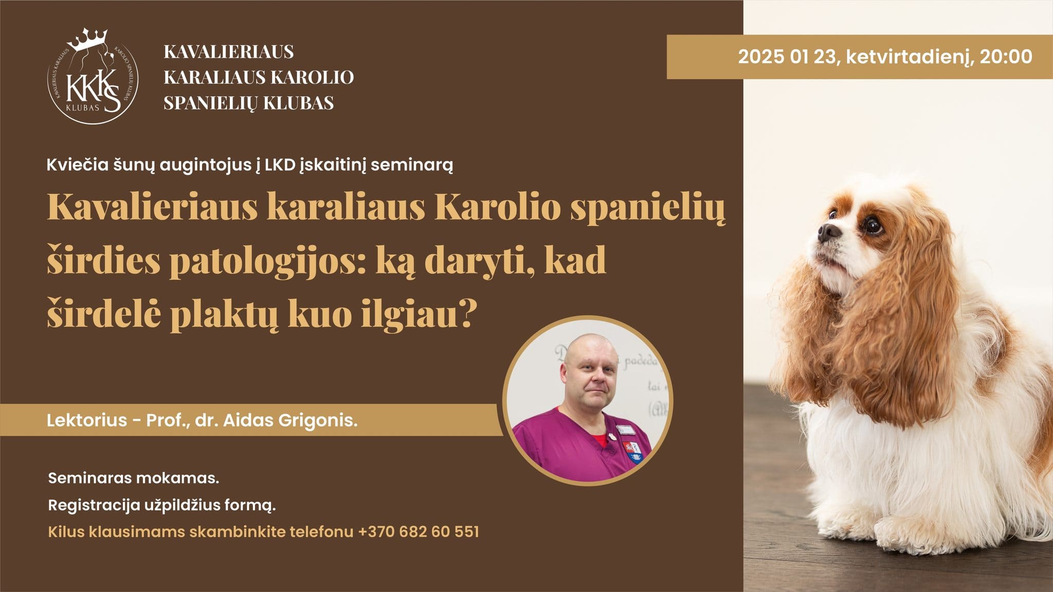 Lkd Iskaitinis Seminaras Kavalieriaus Karaliaus Karolio Spanieliu Sirdies Patologijos