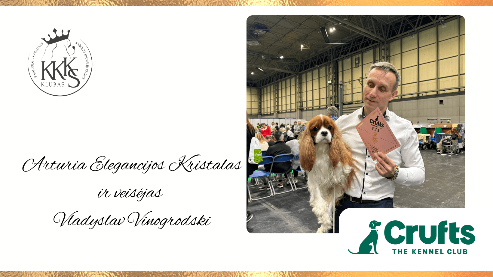 Cavalier king charles spaniels club puikus klubiecio pasiekimas prestizineje crufts parodoje