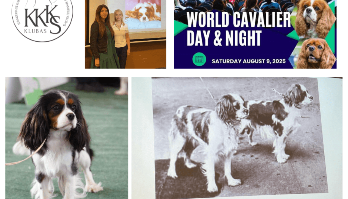 Kavalieriu-ateitis-ka-issivezeme-is-pasaulines-konferencijos-Suomijoje Kavalieriu ateitis ka issivezeme is pasaulines konferencijos suomijoje