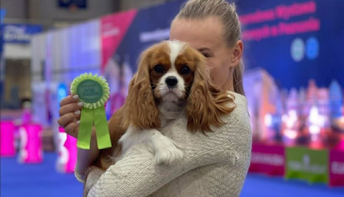 Ekrano nuotrauka 2026 03 06 193759